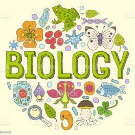 Časovi iz biologije - Obrazovanje - Crna Gora
